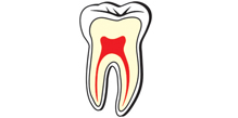 balaji-dental
